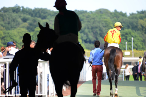 Paris, Auteuil Hippodrome