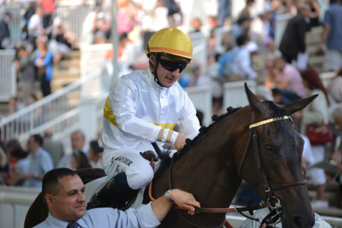 Paris, Auteuil Hippodrome