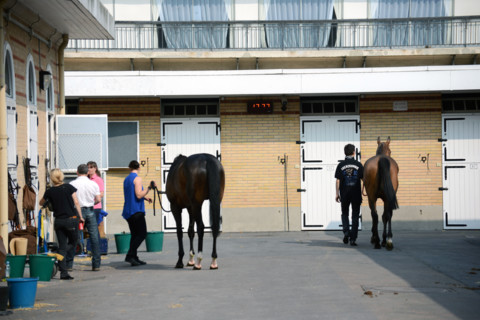 Paris, Auteuil Hippodrome