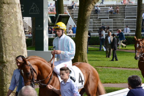 Paris, Auteuil Hippodrome