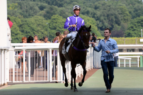 Paris, Auteuil Hippodrome
