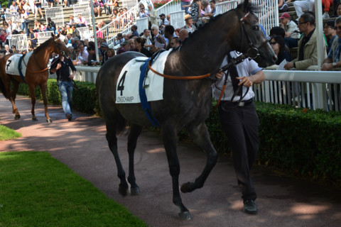 Paris, Auteuil Hippodrome
