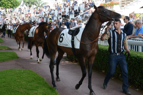 Paris, Auteuil Hippodrome