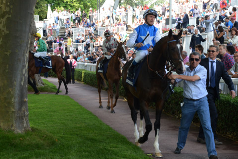 Paris, Auteuil Hippodrome