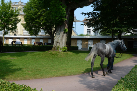 Paris, Auteuil Hippodrome