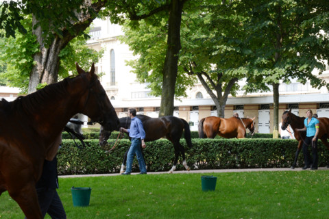 Paris, Auteuil Hippodrome