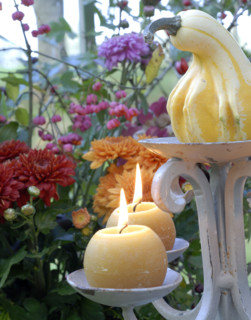 Repas forestier : coloquinte, bougies et fleurs