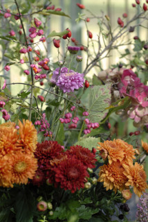 Repas forestier : dahlias et fleurs d'automne