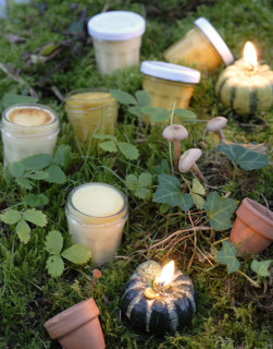 Repas forestier : oeufs au lait et crème candi au potimarron