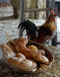 Repas "tout à l'oeuf" : corbeille de pains spéciaux