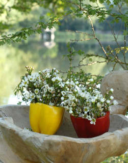 Buffet Robinson : petits bouquets de fleurs champêtres dans des vases en demi-poivron