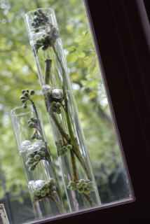 Repas en rose et vert : branchages et baies dans des vases