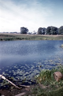 La Volga à Kostroma