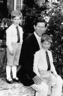 Prince Harry, prince Charles et prince William