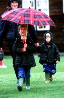 Prince Harry et prince William