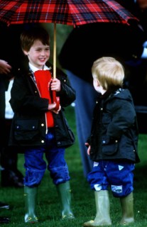 Prince William et prince Harry