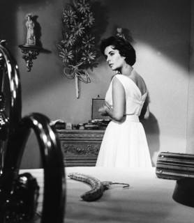 Elizabeth Taylor