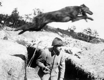 Première Guerre Mondiale