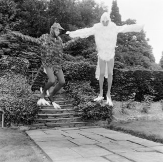 Les Bee Gees
