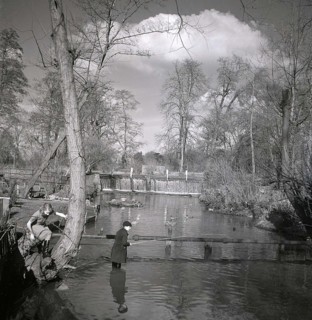 Pêche vers Grove Mill, 1949
