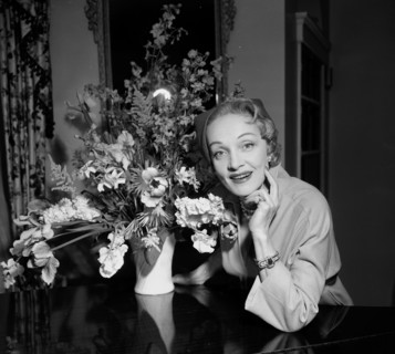Marlène Dietrich