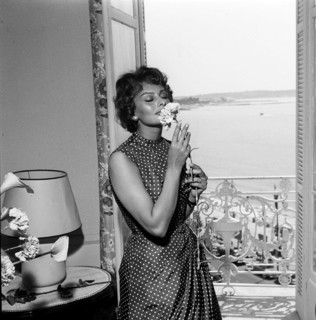 Sophia Loren