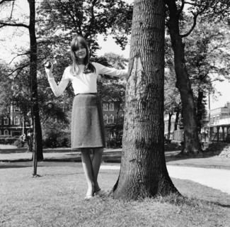 Francoise Hardy (1965)