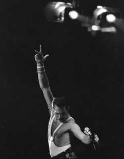 Freddie Mercury