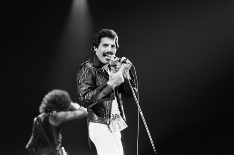 Freddie Mercury