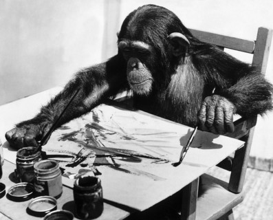 Congo le chimpanzé