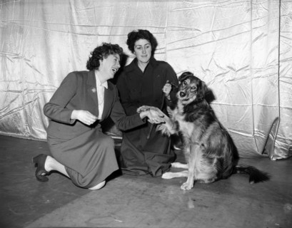 Enid Blyton