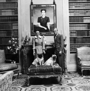 The Duke and Duchess of Windsor with their two dogs Trooper and Disry