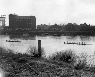 Cambridge win Varsity Boat Race, 1949