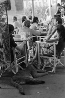 GV Saint-Tropez, France, Tuesday 17th June 1975, man with pet lion, scene about town.