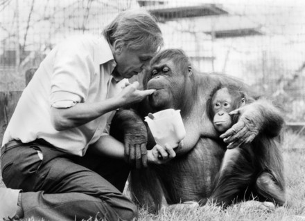 David Attenborough