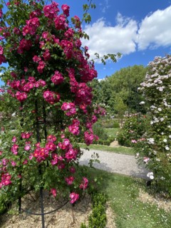 Domaine de Chaalis (Oise)