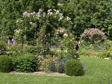 Domaine de Chaalis (Oise)