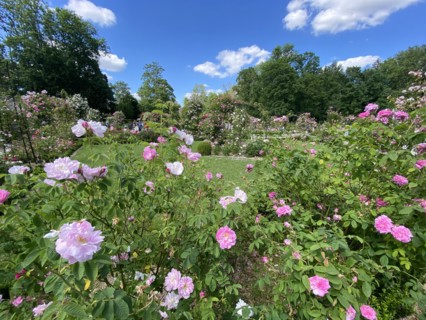 Domaine de Chaalis (Oise)