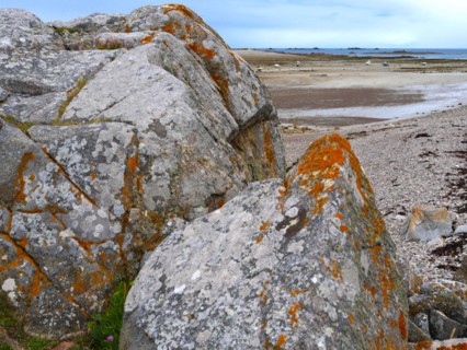 Along the hiking trail 34 in Brittany