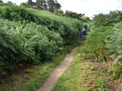 Along the hiking trail 34 in Brittany