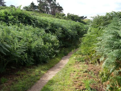Along the hiking trail 34 in Brittany