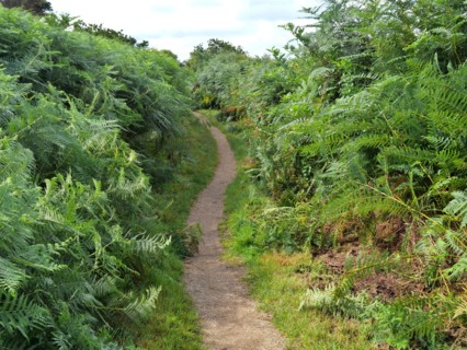 Along the hiking trail 34 in Brittany