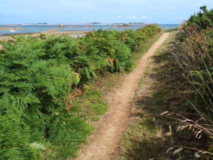 Along the hiking trail 34 in Brittany