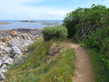 Along the hiking trail 34 in Brittany
