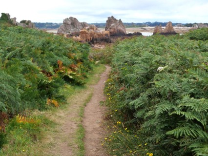 Along the hiking trail 34 in Brittany