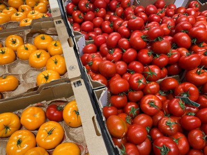 France - Consumer society - Economy