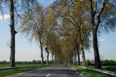 FRANCE INFRASTRUCTURE ROUTIERE
