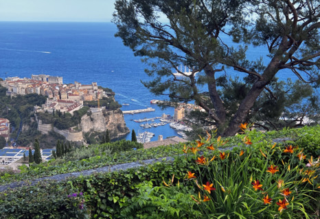 Baie de Monaco