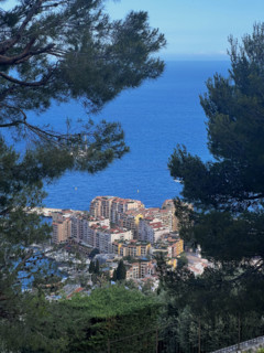 Baie de Monaco