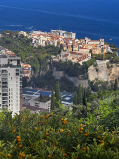 Baie de Monaco